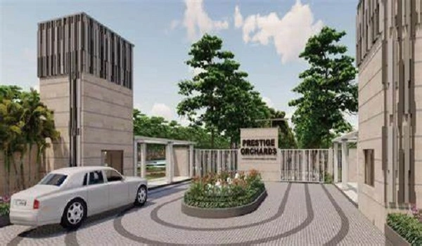 Featured Image of Prestige Orchards